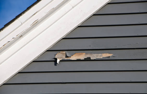 Best Garage Cleanout  in Mebane, NC